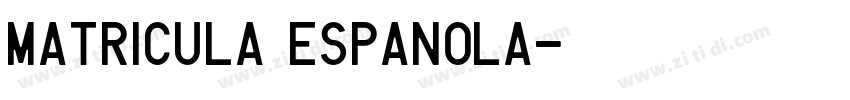 Matricula Espanola字体转换